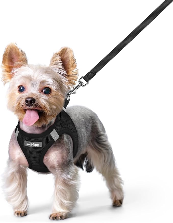 rabbitgoo Dog Harness Small Sized and Leash Set, Step in Soft Light Puppy Vest, Breathable Mesh Pet Harness, Reflective fo...