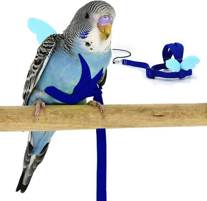 Budgerigar Harness and Leash, Adjustable Parrot Bird Training Design Anti-Bite, Bird Nylon Rope with Cute Wing for Budgeri...