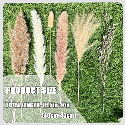 100Pcs Pampas Grass Boho Home Decor 17 inch Natural Dried Flowers-Pampas Grass Contains Bunny Tails White Pampas Brown Pam...