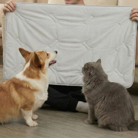 DORMORA Self Cooling Mat for Dogs & Cats, 35x23 Soft Breathable Cold Crate Pad for Pet, Portable Washable Kennel Bed for O...