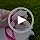 Dog Harness and Leash Set with Angle Wings,Pet Adjustable Mesh Vest Harness with Wings and Bow for Small Medium Dogs Cats_...