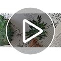 FUNORNAM 8Pcs Italian Ruscus Greenery Stems 26" Artificial Silk Greenery Leaves for DIY Wedding Arch Bouquet Filler Table ...