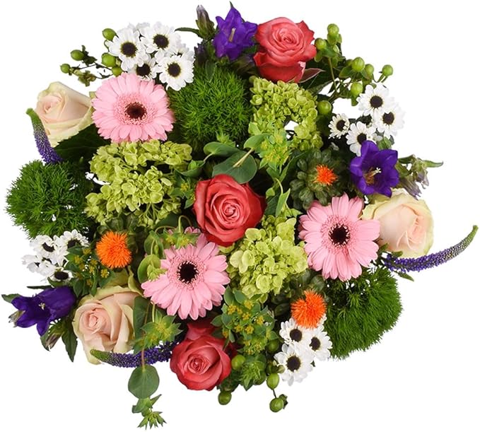 Floral Compass by Nature’s Flowers - Celebration Flower Bouquet - Prime Eligible, 30+ Fresh Cut Flowers for Delivery, No Vase