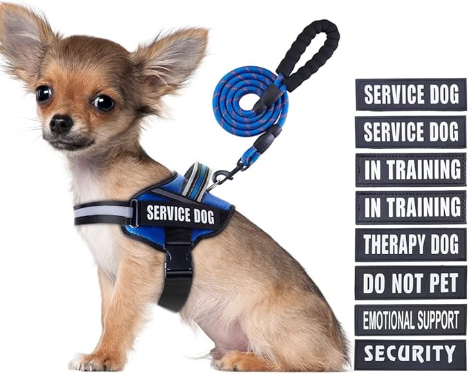 Service Dog Vest Harness and Leash Set, Animire in Training Dog Harness with 10 Dog Patches, Reflective Dog Leash with Sof...