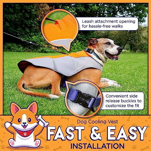 4LegsFriend Cooling Vest for Small, Medium to XLarge Dogs - Evaporative Vest for Hot Summer Days - Adjustable Cooling Jack...
