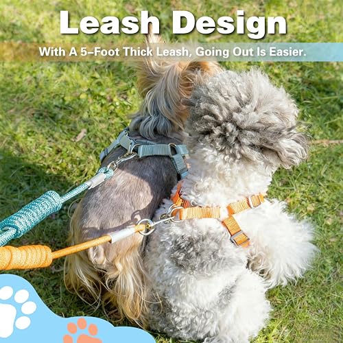 ZOOFLEM Dog Harness with Leash Set, Puppy Soft Vest No Choke No Pull, Adjustable Neck and Chest, Lightweight Harness and A...