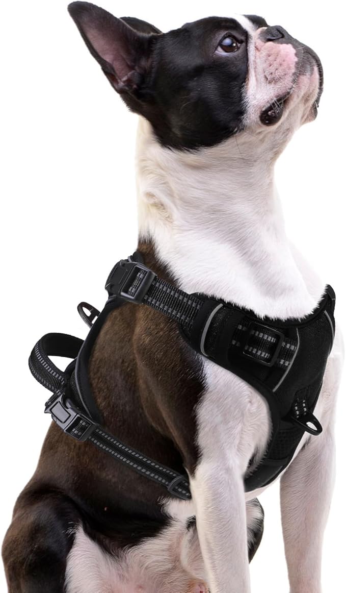 PUPTECK No Pull Dog Harness Small Sized, Adjustable Reflective Dog Harness with Handle Easy Control, Comfortable Soft Padd...
