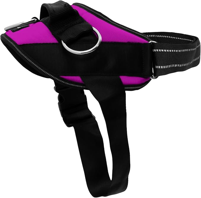 ShawnCo Essential Dog Harness, No-Pull Pet Vest with 3 Leash Clips, No Choke, Reflective, Adjustable and Padded, for Easy ...