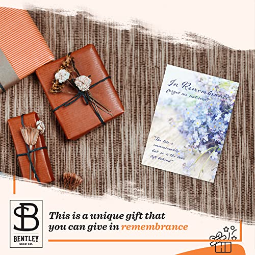 Bentley Seed Co. | in Remembrance Love Left Behind Non-GMO, Non-Coated Forget Me Not | Gardening Gifts | Flower Seeds for ...