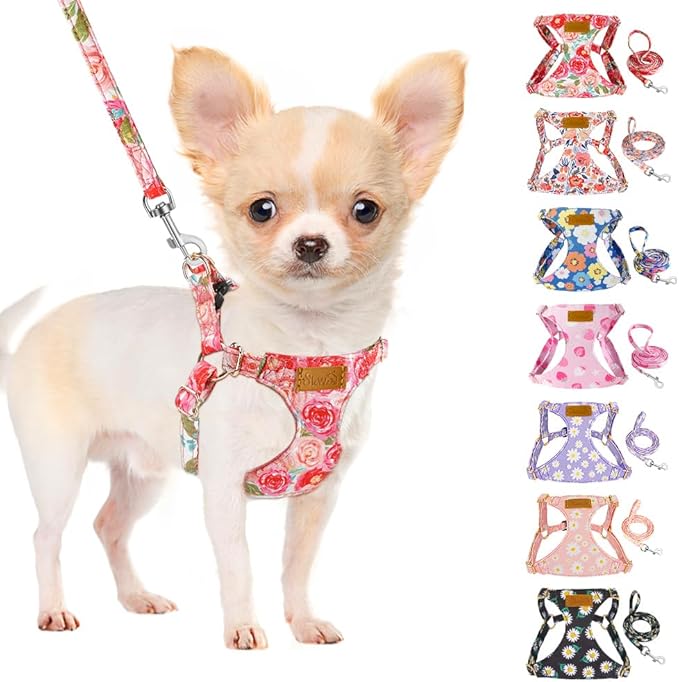 SlowTon Dog Harness Small Sized Dog - Soft XXS Dog Harness and Leash Set No Pull No Chock, Adjustable Lightweight Puppy Ha...
