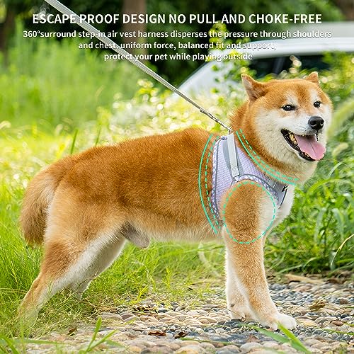 AIITLE Tiny Dog Harness - Lightweight Mesh Step-in Vest for Puppy, Reflective & Escape-Proof Design with High-Stick Magic ...