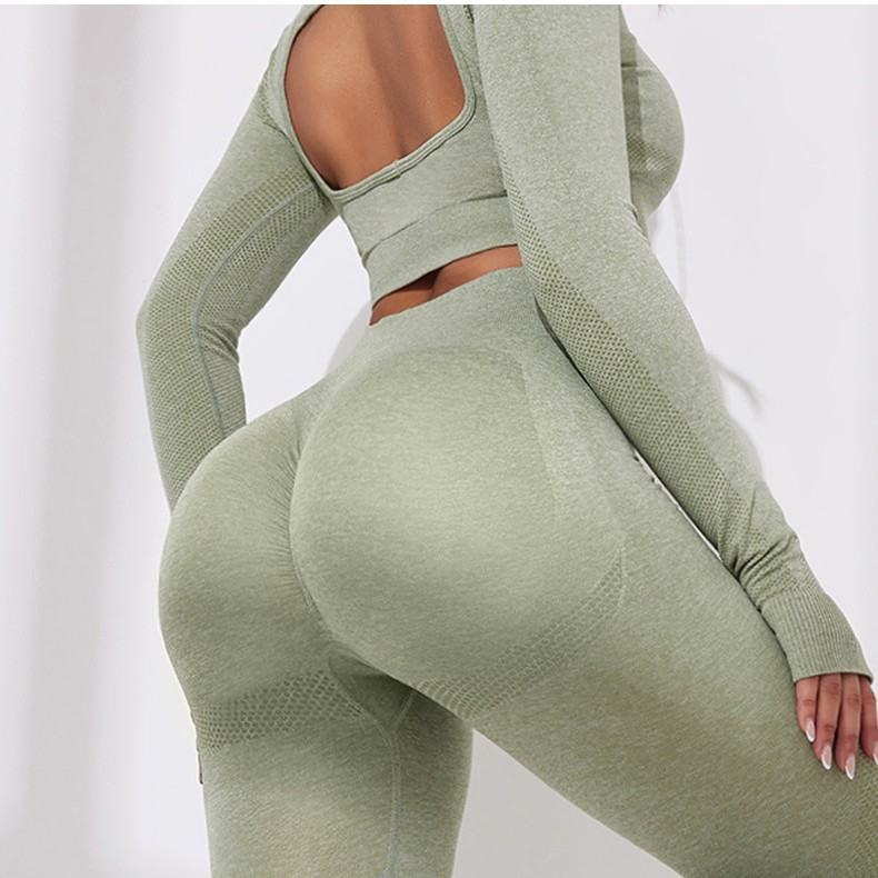 Seamless Womens Sports Yoga Set Fitness Apparel