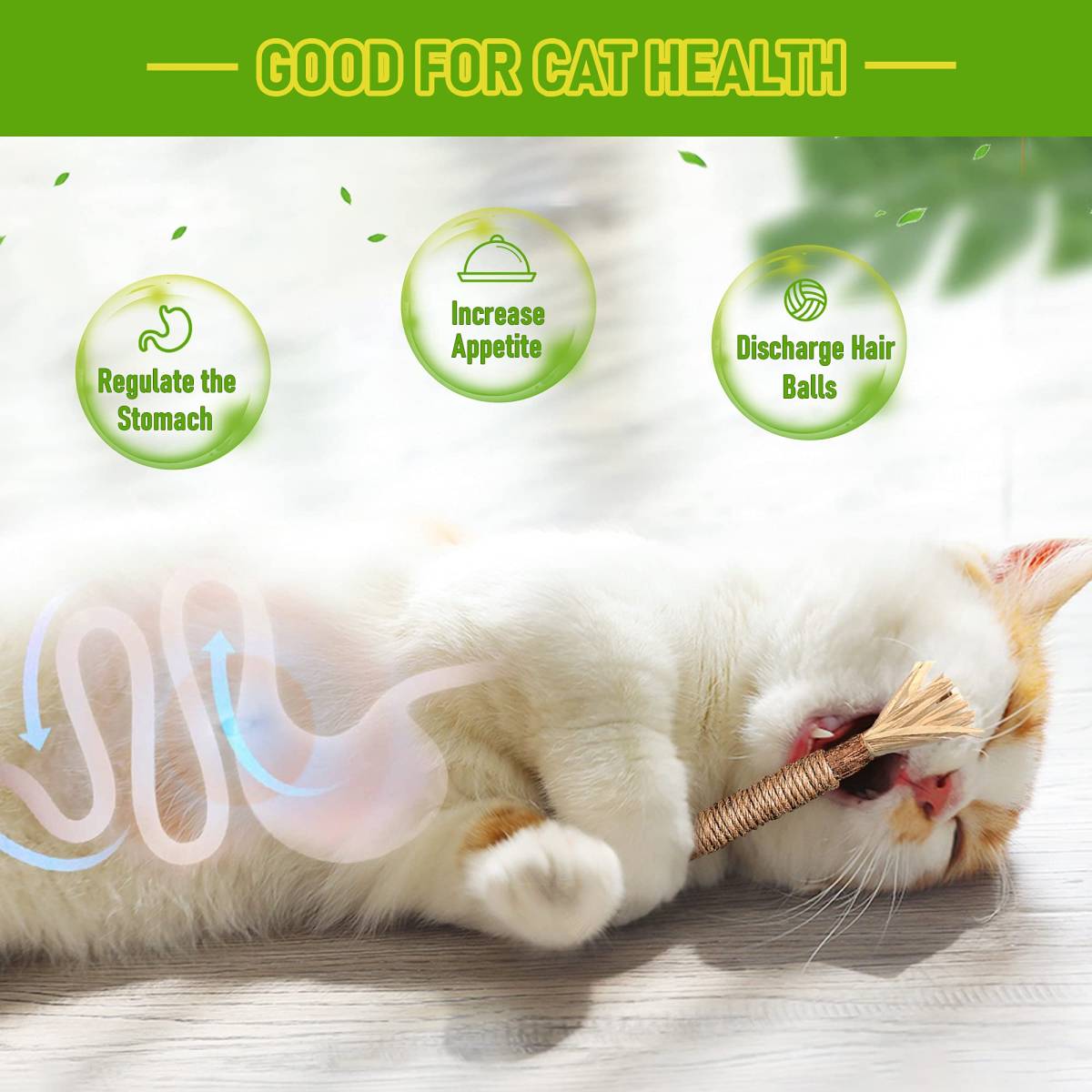 Silvervine Sticks Cat Chew Toys For Indoor Cats Dental Care Teeth Cleaning, Natural Kitten & Cat Teething Toys For Health, Cat Chew Stick Suitable For All Breeds Of Aggressive Chewers Cat
