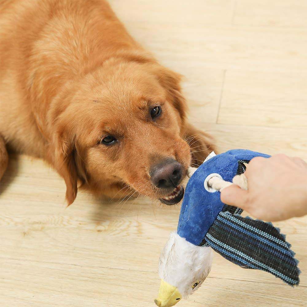 Dog Toys Set, Large Dogs Toy, Stuffed Animal Dog Chew Toy, Soft Plush Dogs Toys Pack For Small. Middle, Large Breed, Birds