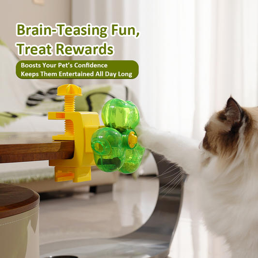 Clover Pet Treat Dispenser  XZ-P-T05