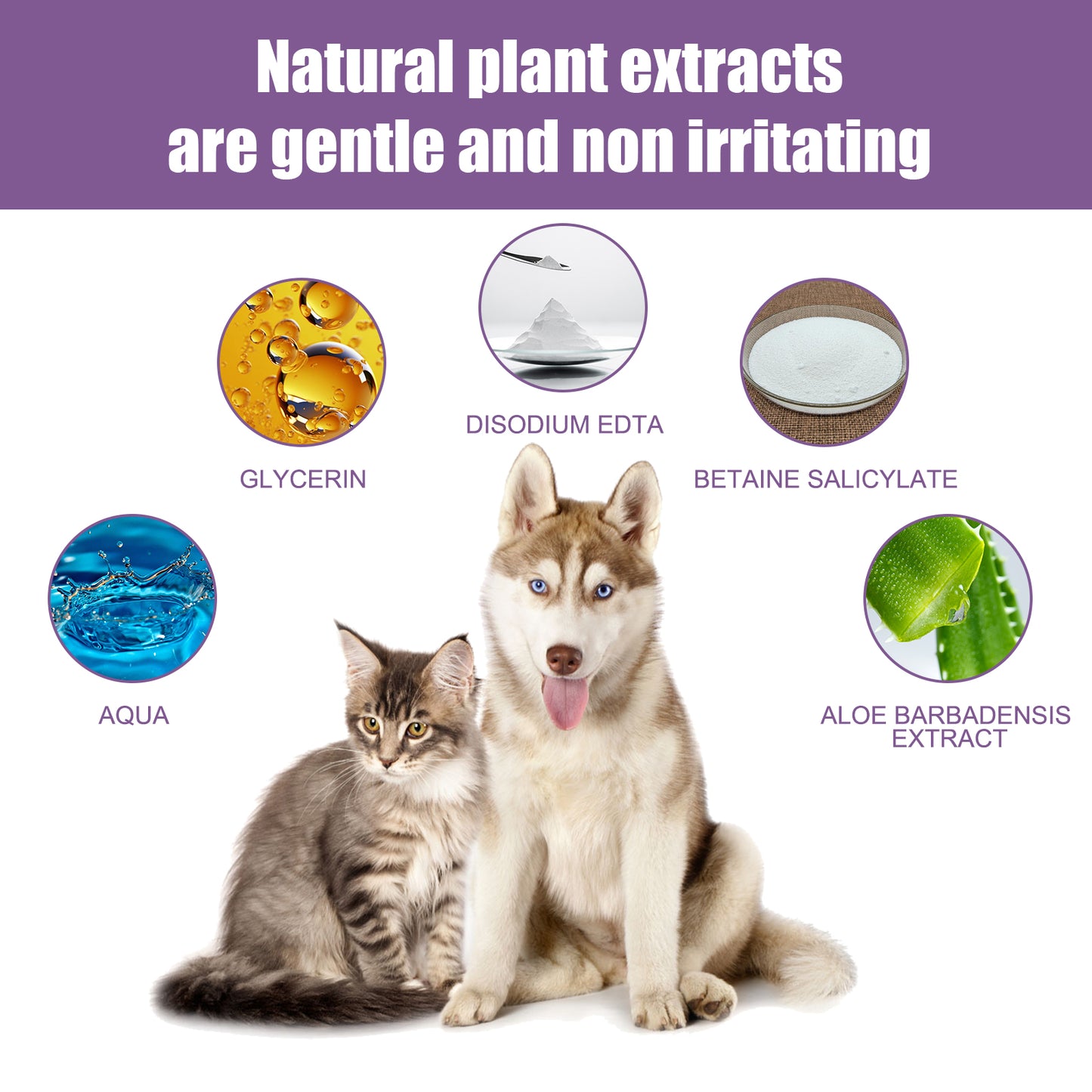 118ml Pet Ear Rinse Cleaner With Glycerin & Disodium EDTA, Anti-Itch Antimicrobial Ear Wash For Dogs Cats, Alcohol-Free Gentle Ear Cleanser With Cotton Swabs