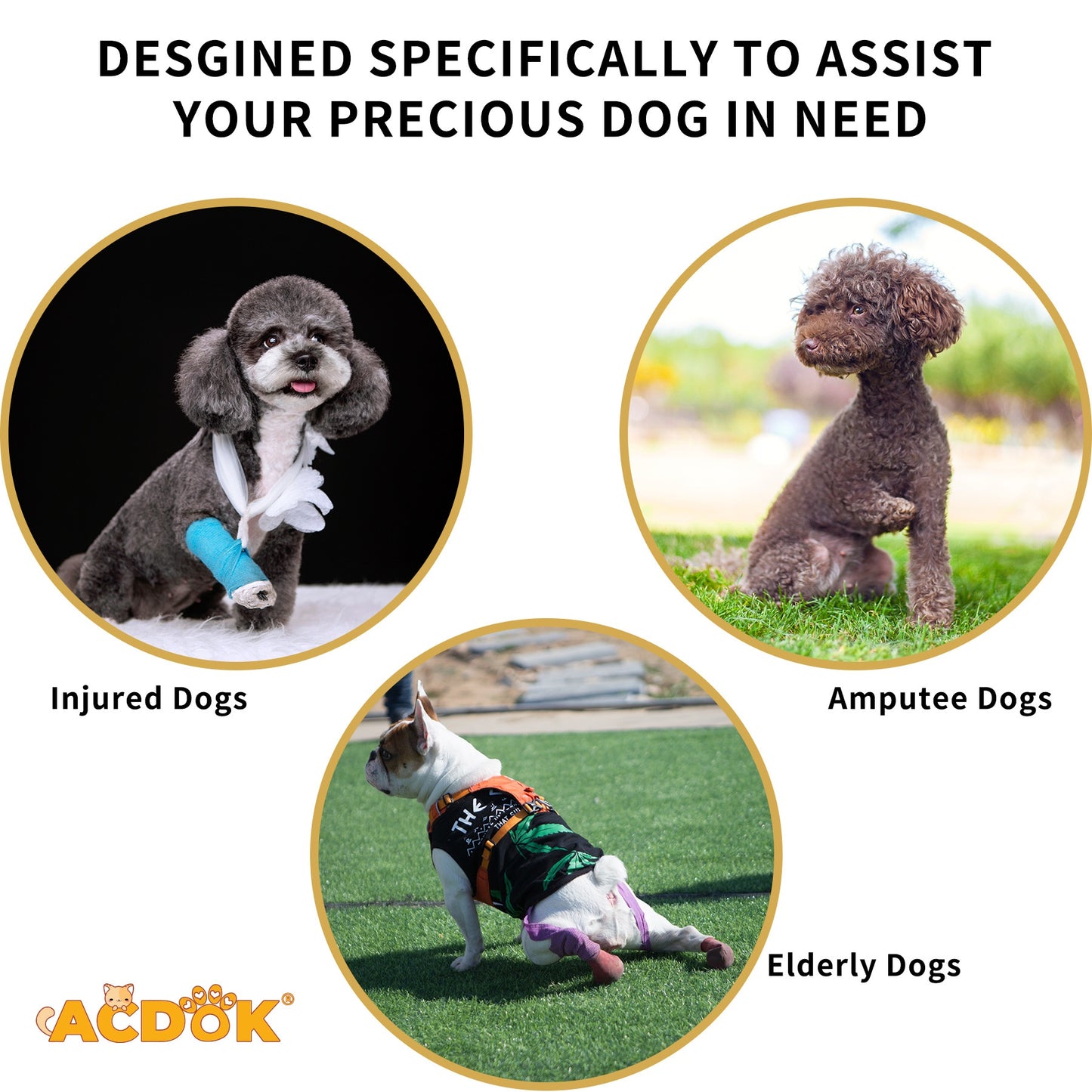 Pet-assisted Clothing For Senior Dogs