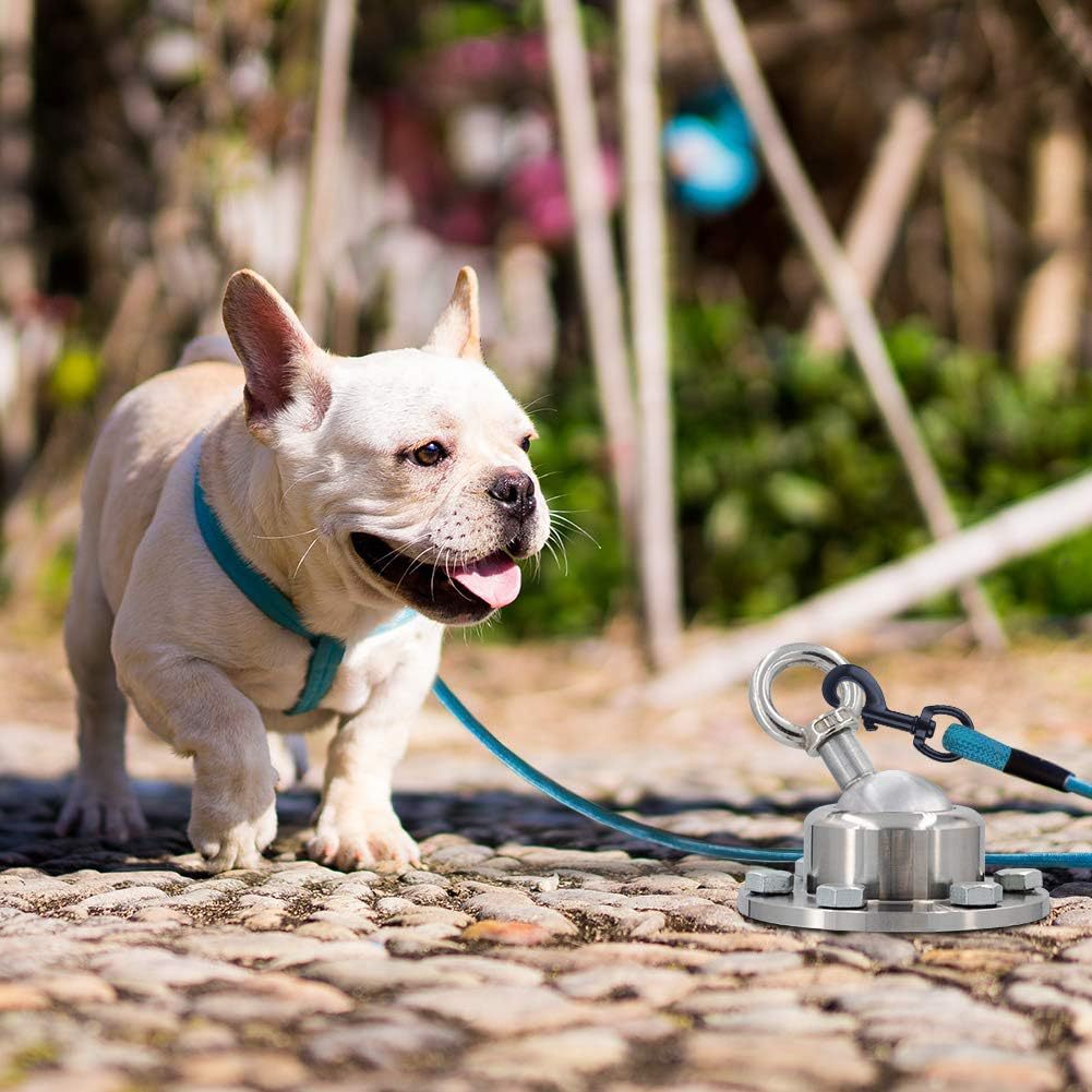 Stainless Steel Pet Dog Tethering Stake With Wire Rope Dog Leash