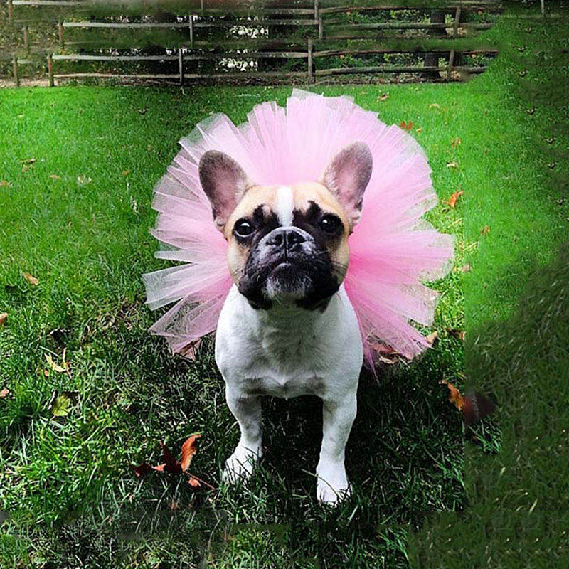 European And American-style Festive Pet Tulle Tutu Skirt