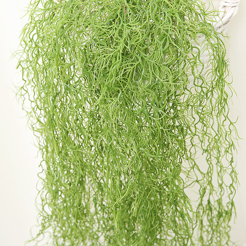 Beauty Must Wall Hanging Air Grass Old Man Must Homestays Decoration