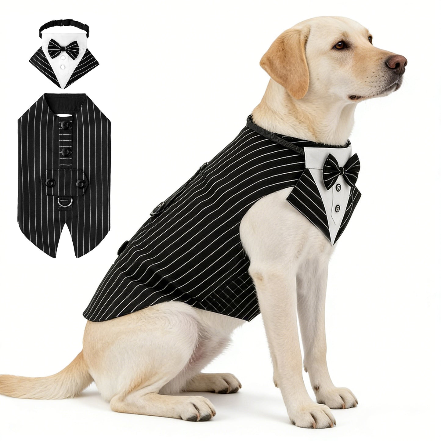 Creative All-Match Pet Clothes And Scarf Set