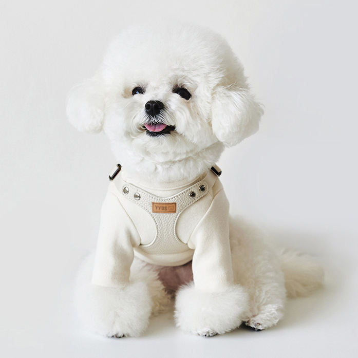 Pet Dog Leash TeddyBichon Outdoor Chest Harness And Leash