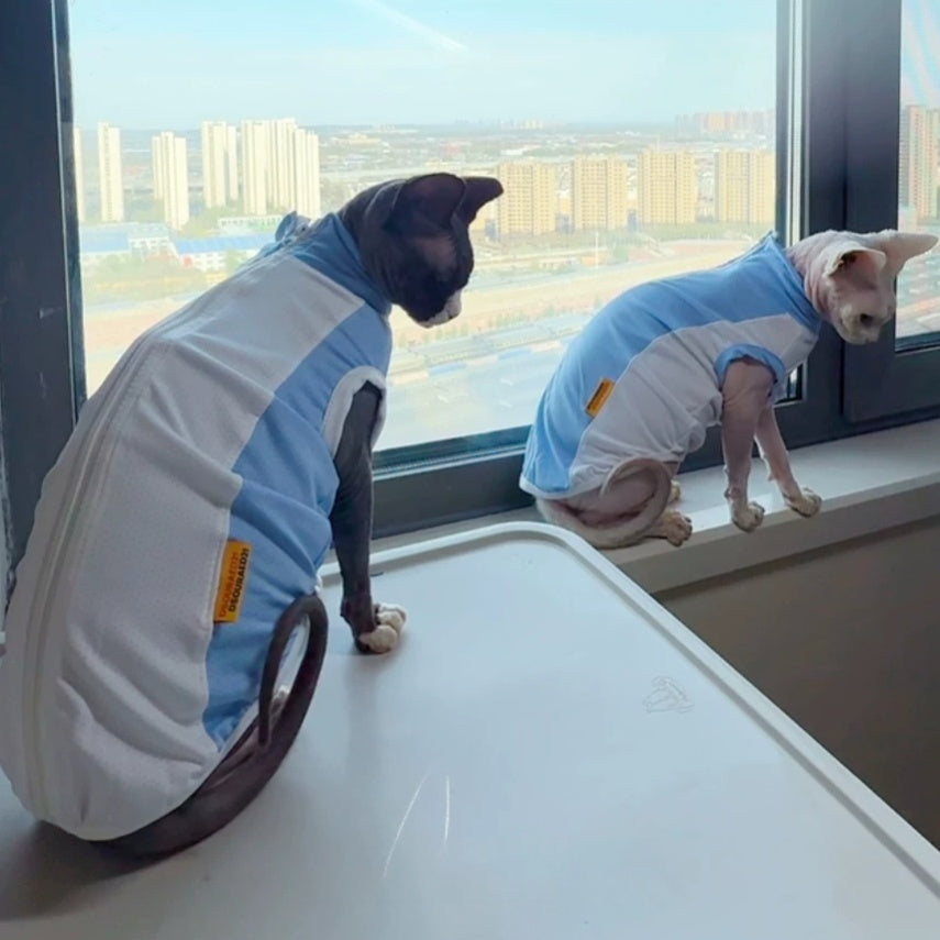 Sphynx Cat Summer Cooling Shirt Stretch Blue Mesh Vest Sun Protection
