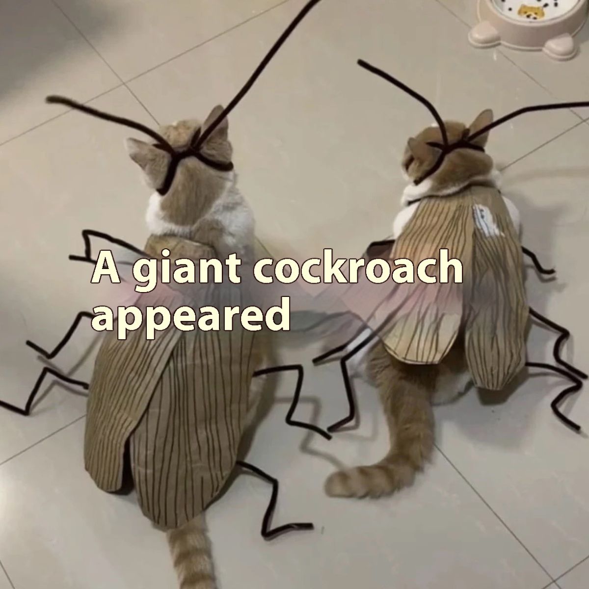 Pet Toy Cockroach Clothes Non-woven Handmade DIY Material Package Kitten Clothes