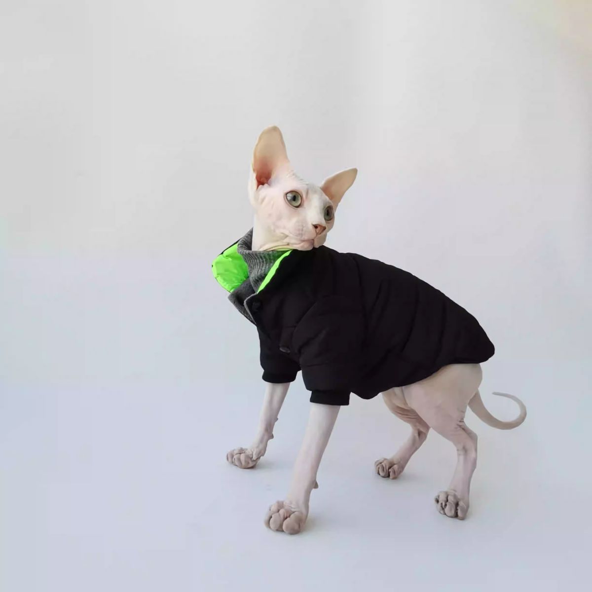 Thick Quilted Cotton Pet Coat