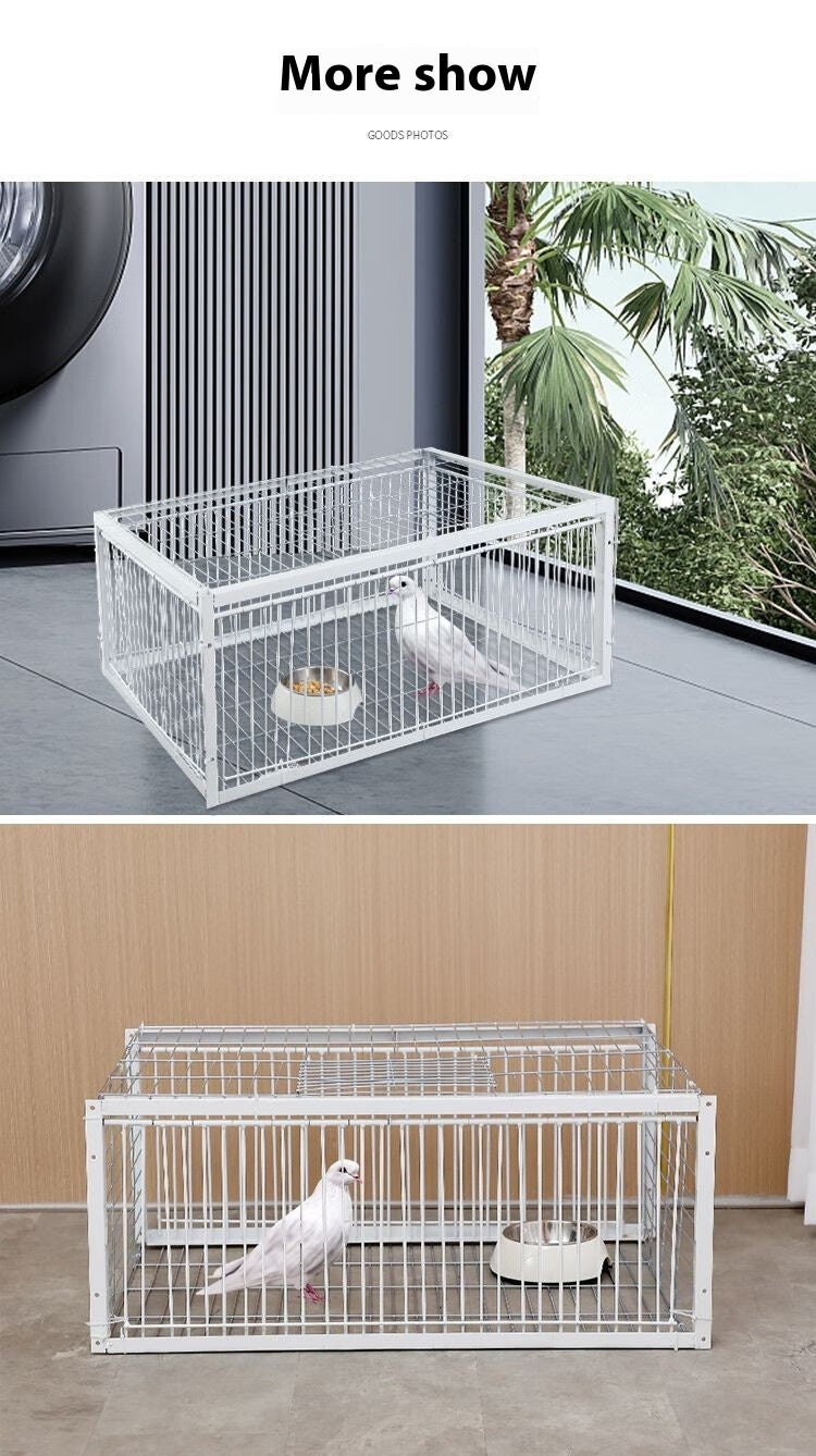 Pigeon Active Network Door Encrypted Return Cage