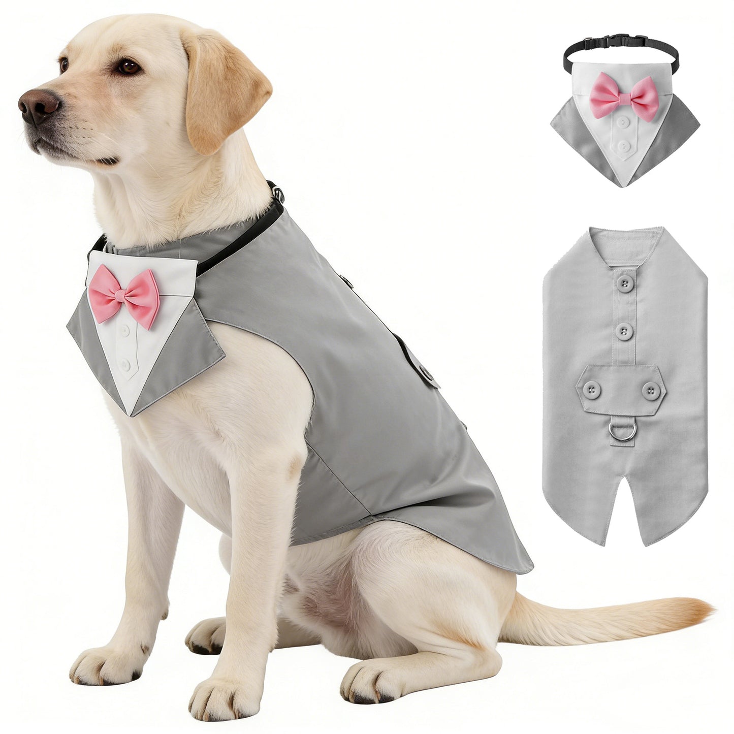 Creative All-Match Pet Clothes And Scarf Set