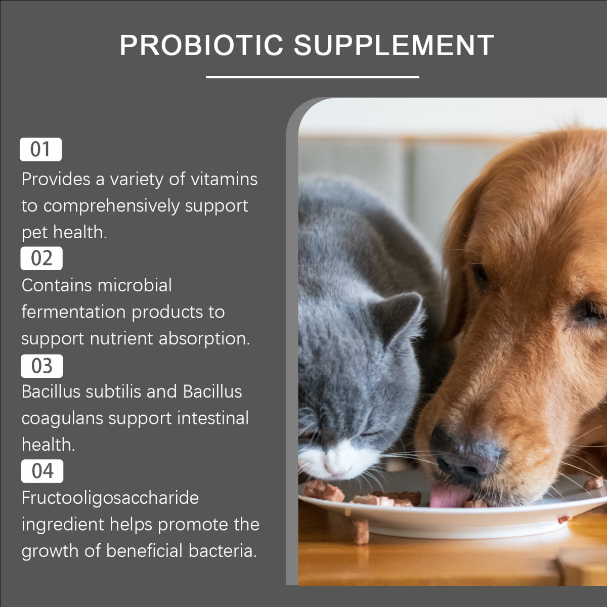 Pet Probiotic Chewable Tablets For Dogs & Cats Digestive Health Support, Immune Booster With Vitamin B2 & Yeast Selenium, 80 Tablets