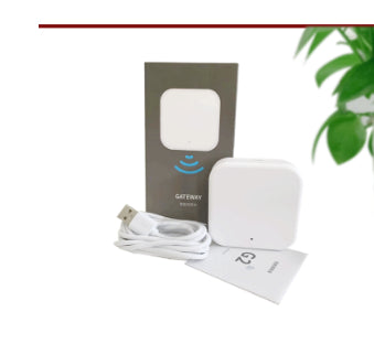 Wireless 24G Gateway Graffiti Bluetooth Smart Fingerprint Lock
