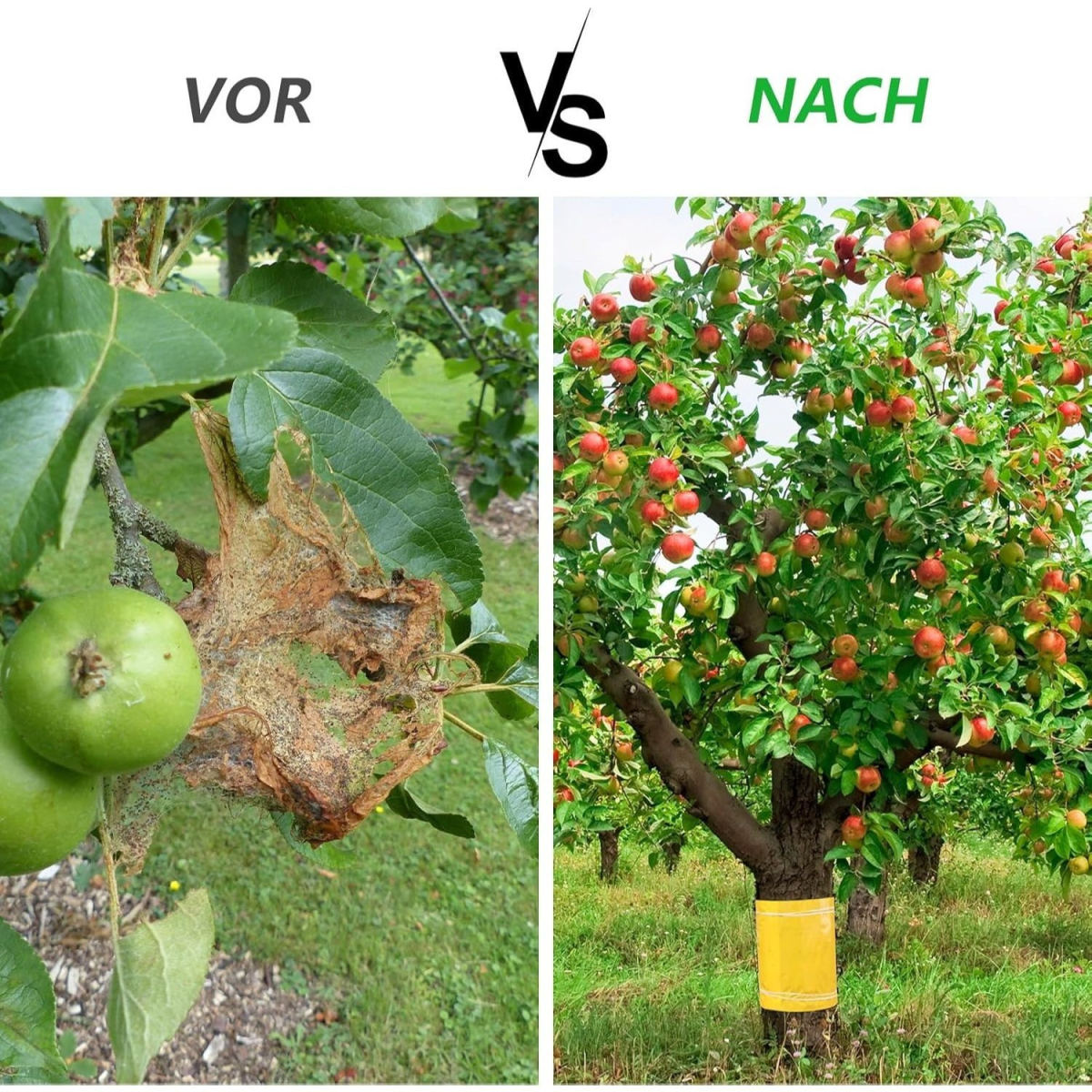 25 Cm X 10 M Tree Protection Sleeve For Fruit Trees, Tree Trunk Protection, Self-Adhesive Trunk Sleeve For Garden Plants, Weather-Resistant Tree Protection Film For Fruit Trees, Practical Trunk Wrap