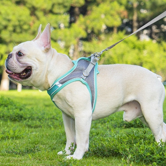 Reflective Breathable Pet Harness And Leash Set