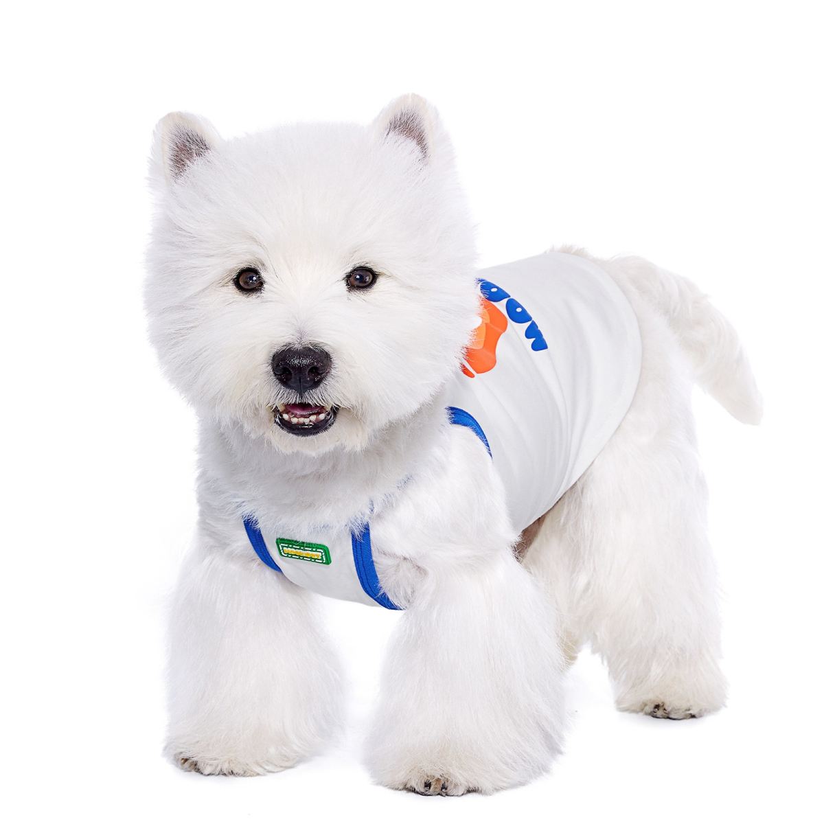Bichon Maltese Small Dog Pet Summer Bra Top