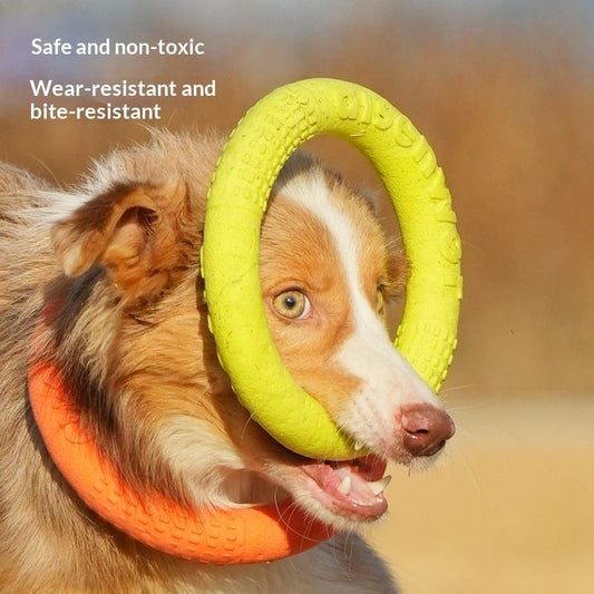 Training-specific TPR Foam Bite-resistant Outdoor Pet Cat Toy