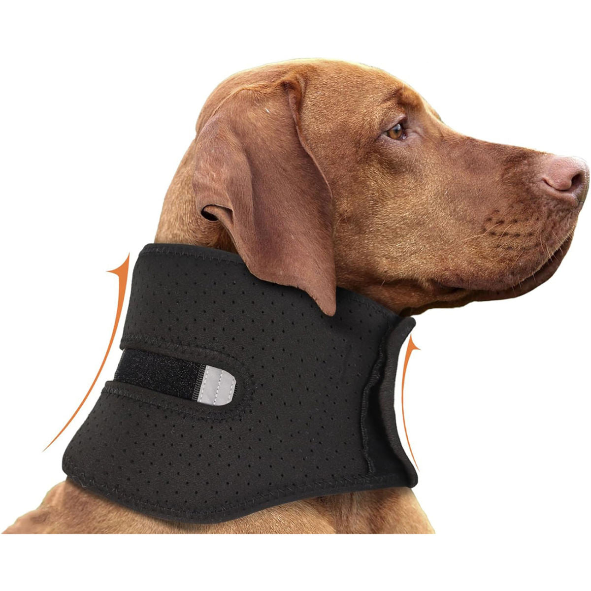 Adjustable Pet Collar For Post surgery Stability And Protection Against Neck Sprains