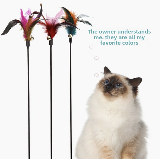 Colorful Feather Cat Wand, Teaser With Bell, Cat Toy, Pet Supplie