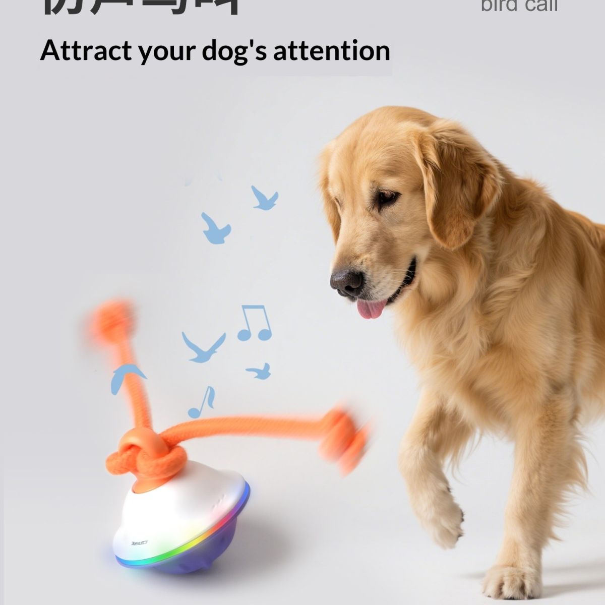 Entertainment Automatic Ball Bite-Resistant Pet Toy