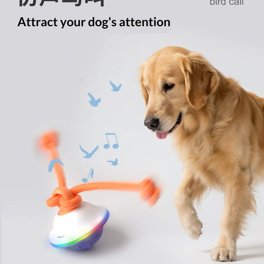 Entertainment Automatic Ball Bite-Resistant Pet Toy