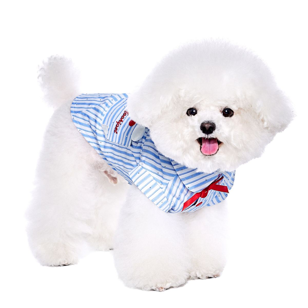 Schnauzer Pet Summer Thin Shirt Cute