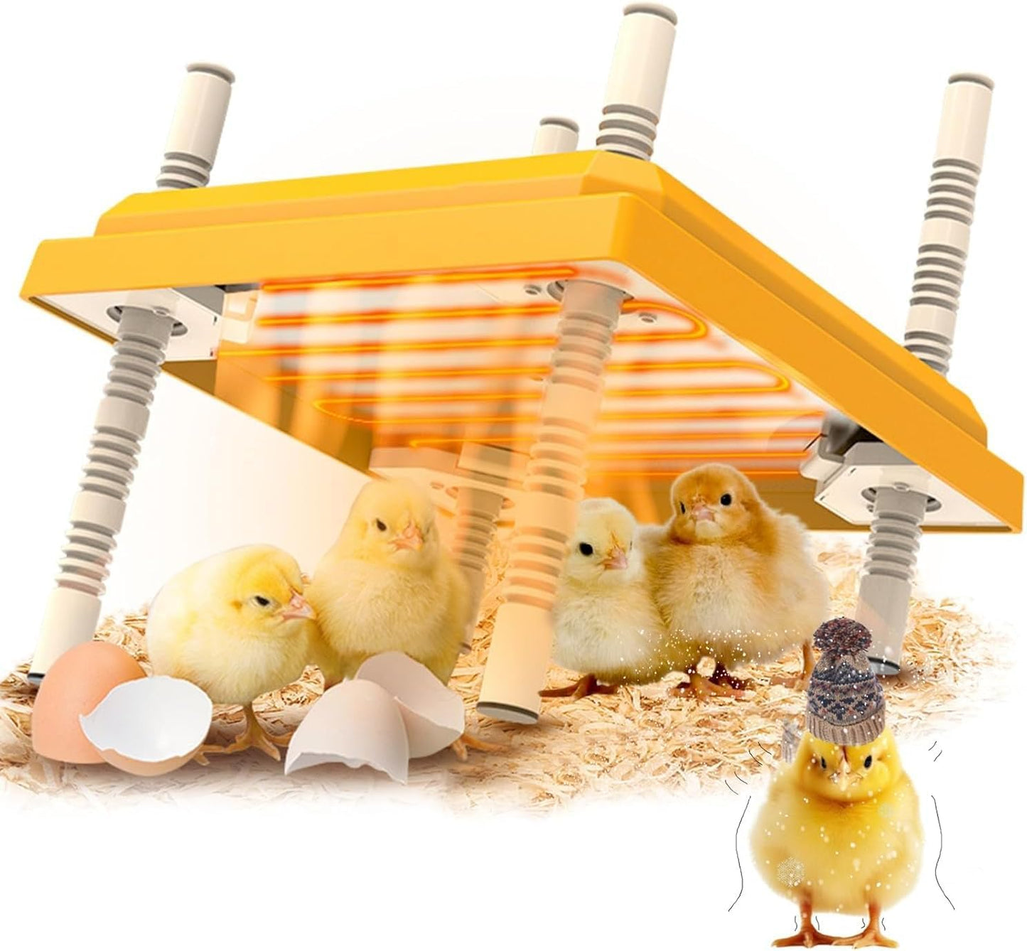 Feeding Heater
