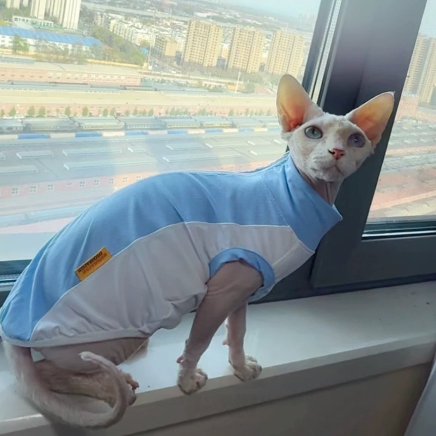 Sphynx Cat Summer Cooling Shirt Stretch Blue Mesh Vest Sun Protection