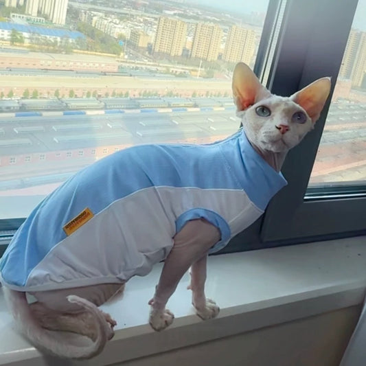 Sphynx Cat Summer Cooling Shirt Stretch Blue Mesh Vest Sun Protection