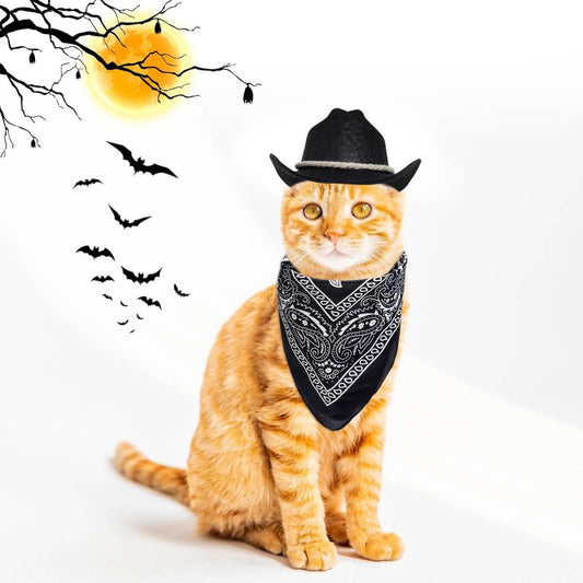 Black Pet And Bib Set Cotton Rope Denim Hat With Square Scarf Cat And Dog PartyFestival Hats