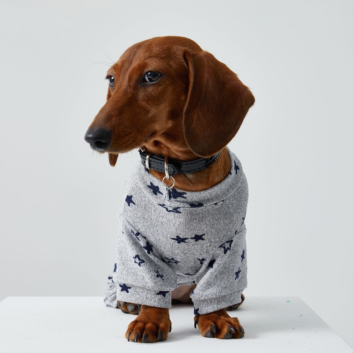 Spring And Summer Thin Striped Homewear Four-legged Pet Clothing