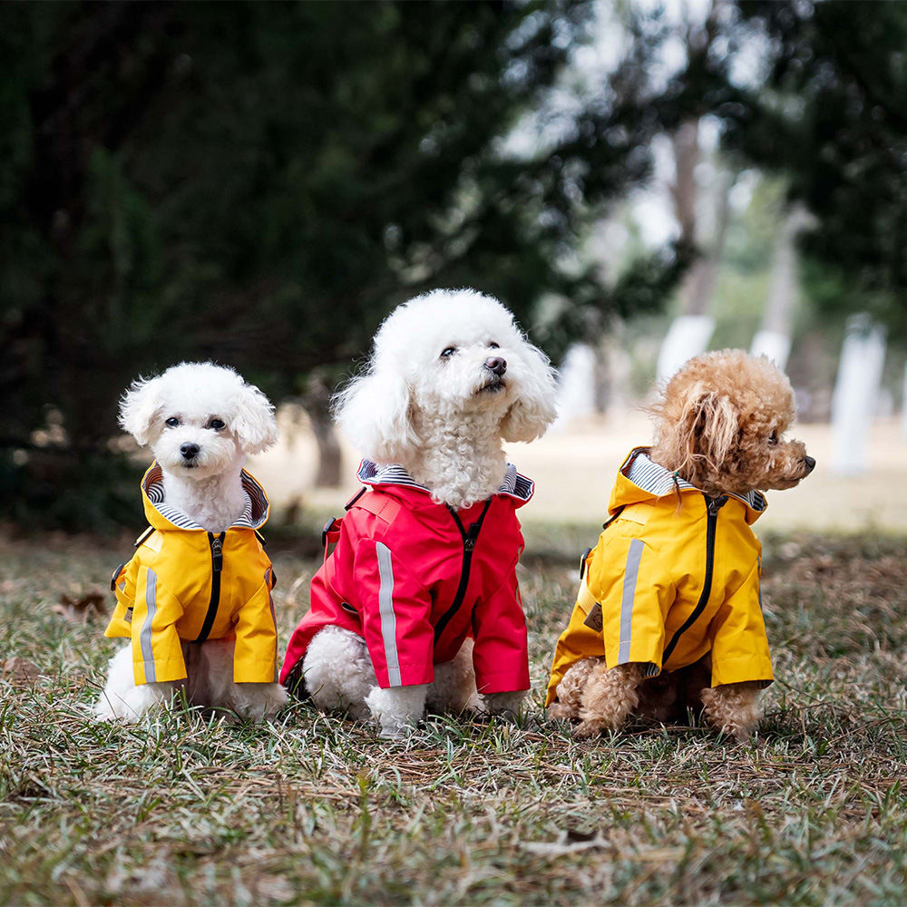 Pet Waterproof Raincoat British Dog Four Seasons Universal