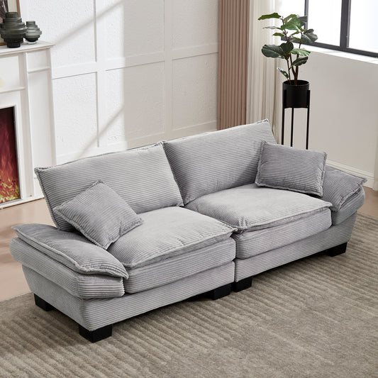 A Modern, Simple Double Sofa With A Feather Bed, Which Reaches A Pillow, Is Cosy, But Spacious And Spacious In The Living Room Bedroom Office, Light Grey