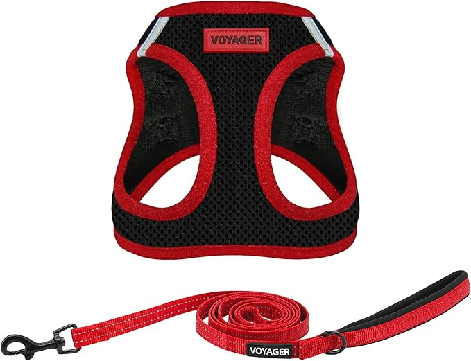 Best Pet Supplies Voyager Step-in Air All Weather Mesh Harness and Reflective Dog 5ft Leash Combo with Neoprene Handle, fo...